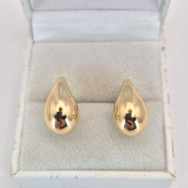 Zlaté náušnice VN682