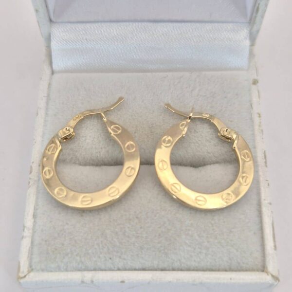 Zlaté náušnice VN684